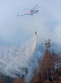 პრემიერი: ხანძრის გავრცელების არეალი მნიშვნელოვნად შემცირდა