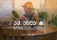 თიბისის მხარდაჭერით თბილისში ვეგანური კაფე SEED გაიხსნა