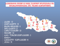 1-ლი სექტემბრიდან 30 სექტემბრის ჩათვლით, ხე-ტყის უკანონო მოპოვებისა და ტრანსპორტირების 261 ფაქტი გამოვლინდა