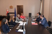 ირაკლი კობახიძე ეროვნულ-დემოკრატიული ინსტიტუტის ( NDI) ექსპერტს შეხვდა