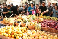 შარდენის ქუჩაზე ხილის ფესტივალი იმართება