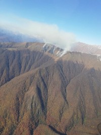 თელავის რაიონში ალპურ ზონაში ხანძარია