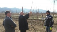 მცხეთა-მთიანეთის რეგიონში ფერმერებს კონსულტაციები გაეწიათ