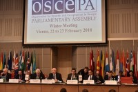 პარლამენტის მუდმივმოქმედი დელეგაცია ვენაში, ეუთოს საპარლამენტო ასამბლეაში მონაწილეობს