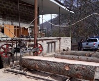 დეკემბერში ხე-ტყის უკანონო მოპოვებისა და ტრანსპორტირების 335 ფაქტი გამოავლინდა
