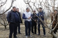 პროგრამა „დანერგე მომავალი“-ს ბენეფიციარებს ტრეინინგი ჩაუტარდათ