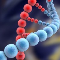 სასამართლო ექსპერტიზის ეროვნულ ბიუროში დნმ-ის ერთიანი საინდექსაციო სისტემა იქმნება