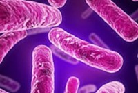 ტუბერკულოზის მკურნალობისა და პრევენციის ახალი პროგრამა ამოქმედდება