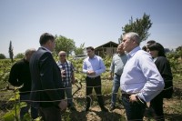 აგროდაზღვევის პროგრამით მოსარგებლე ბენეფიციარებს მიყენებული ზარალი აუნაზღაურდებათ