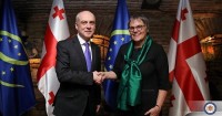 დავით ზალკალიანი ევროპის საბჭოს საპარლამენტო ასამბლეის პრეზიდენტს შეხვდა