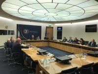 სოფიო ქაცარავა ირლანდიის პარლამენტის ევროპულ საქმეთა კომიტეტის თავმჯდომარეს შეხვდა