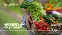 საქართველოს ბანკის მხარდაჭერით ქობულეთში ბოსტნეულის მეურნეობა გაფართოვდა