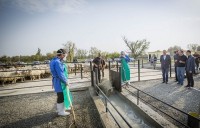 კახეთის რეგიონში ბიოუსაფრთხოების მესამე პუნქტი ამოქმედდა 