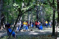 თბილისის მერის მოადგილემ კრწანისის ტყე-პარკის დასუფთავების  ღონისძიებაში მიიღო მონაწილეობა თბილისის მერის მოადგილემ კრწანისის ტყე-პარკის დასუფთავების  ღონისძიებაში მიიღო მონაწილეობა