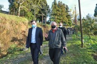 თორნიკე რიჟვაძე: მნიშვნელოვანია, რომ ყველა მეციტრუსე-ფერმერს ჰქონდეს შესაბამისი მხარდაჭერა სახელმწიფოს მხრიდან