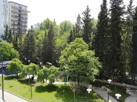 ჩიქოვანის ქუჩაზე სკვერის რეაბილიტაცია დასრულდა