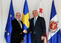 გიორგი მღებრიშვილი შვედეთის სამეფოს პარლამენტის თავმჯდომარის მოადგილეს შეხვდა