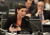 სოფიო ქაცარავა: ნატოს საპარლამენტო ასამბლეა წევრ ქვეყნებს რუსეთიდან მომდინარე ჰიბრიდული საფრთხეების გამკლავებისკენ მოუწოდებს