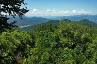 თბილისის გარემოსდაცვით კონფერენციაში მსოფლიოს 70-მდე მაღალი რანგის სტუმარი მიიღებს მონაწილეობას