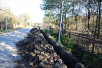 გურიის რეგიონში, ფართოზოლოვანი ოპტიკურ-ბოჭკოვანი ინფრასტრუქტურის მშენებლობა მიმდინარეობს