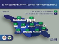 აპრილის თვეში უკანონო ტყითსარგებლობის 161 ფაქტი გამოვლინდა