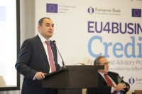 დიმიტრი ქუმსიშვილმა ევროკავშირის დელეგაციას მცირე და საშუალო ბიზნესის განვითარების მიზნით გაწეული სამუშაოს შედეგები გააცნო