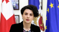 ნათია მეზვრიშვილი: მიხეილ კალანდიაზე სისხლის სამართლის დევნის დაწყება შინაგან საქმეთა სამინისტროს უფლებამოსილება არაა