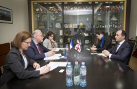 ლევან დავითაშვილი საფრანგეთის ელჩს შეხვდა