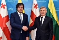 ირაკლი კობახიძე ლიეტუვას სეიმას სპიკერს შეხვდა