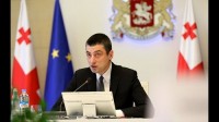 გიორგი გახარია: პანიკის საფუძველი არ არსებობს გიორგი გახარია: პანიკის საფუძველი არ არსებობს