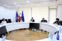 თამარ ჩუგოშვილი დიპლომატიური კორპუსისა და საერთაშორისო სადამკვირვებლო ორგანიზაციების წარმომადგენლებს შეხვდა
