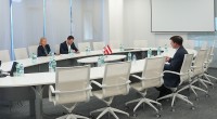 ნათია თურნავა: სასიხარულოა, რომ საქართველოში ავსტრიული კომპანიების რაოდენობა იზრდება