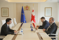 მამუკა ბახტაძე ავსტრიის ელჩს შეხვდა