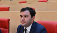 ვანო ზარდიაშვილი: შთაბეჭდილება მრჩება, რომ პრეზიდენტს საარჩევნო კამპანია დაწყებული აქვს