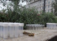 თბილისში 11 წერტილში აზოტის დიოქსიდის ნორმაზე გადაჭარბება დაფიქსირდა 