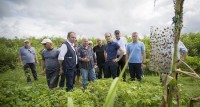 ლევან დავითაშვილი სამეგრელოში აზიური ფაროსანას საწინააღმდეგო ღონისძიებების მიმდინარეობას გაეცნო