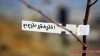აგვისტოს ომში დაღუპული გმირების შვილებმა მებრძოლების სახელზე სიმბოლურად 169 ნუშის ნერგი დარგეს