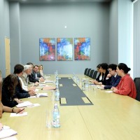 ნათია მეზვრიშვილი NDI-სა და IRI-ის წარმომადგენლებს შეხვდა
