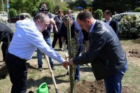 დავით ნარმანიამ გამწვანების აქციაში მიიღო მონაწილეობა
