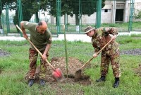 სასაზღვრო პოლიციის კინოლოგიის ცენტრის ტერიტორიაზე გამწვანების აქცია გაიმართა