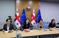 ნათია მეზვრიშვილი ევროპულ საგარეო ქმედებათა სამსახურის წარმომადგენელს შეხვდა