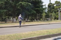 ბოლნისის მუნიციპალიტეტის გამწვანების სამსახური საგაზაფხულო სამუშაოებს განაგრძობს