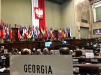 ნატოს საპარლამენტო ასამბლეა საქართველოს მიმართ მტკიცე მხარდაჭერას კიდევ ერთხელ გამოხატავს