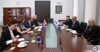 მიხეილ ჯანელიძე მედიის თავისუფლების საკითხებში ეუთო-ს წარმომადგენელს შეხვდა