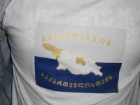 „განახლებული საქართველოსთვის“ წევრებმა სასამართლოს გადაწყვეტილება გააპროტესტეს