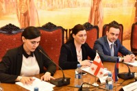 სოფიო ქაცარავა აზერბაიჯანის მილი მეჯლისის საქართველოს პარლამენტთან მეგობრობის ჯგუფის წევრებს შეხვდა