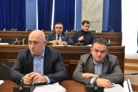  ადამიანის უფლებათა დაცვისა და სამოქალაქო ინტეგრაციის კომიტეტში სხდომა გაიმართა 