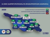 2020 წლის განმავლობაში, ხე-ტყის უკანონო მოპოვებისა და ტრანსპორტირების 2754 ფაქტი გამოვლინდა