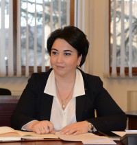 ეკა ბესელია საერთაშორისო სამართლებრივ საკითხებში გერმანული ფონდის ექსპერტს შეხვდა