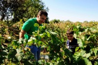 მიხეილ სააკაშვილი დღეს თიანეთსა და საგარეჯოში იმყოფებოდა